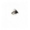 Duck fly
