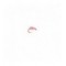 Flashback Pink Shrimp