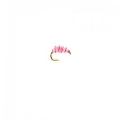 Flashback Pink Shrimp