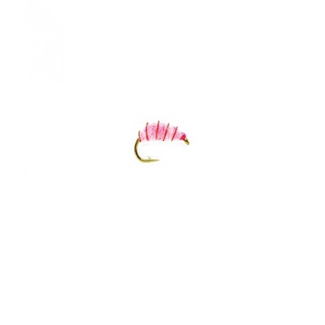 Flashback Pink Shrimp