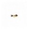 Gold fritz GRHE Nymph