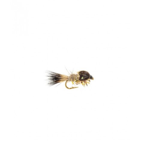 Gold fritz GRHE Nymph