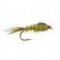 GRHE Olive