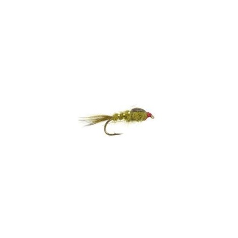 GRHE Olive