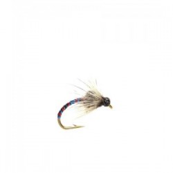 Hatching midge