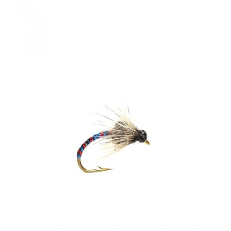 Hatching midge