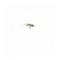 Hatching SP Olive
