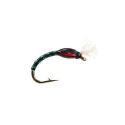 Holo Buzzer Black Green Red