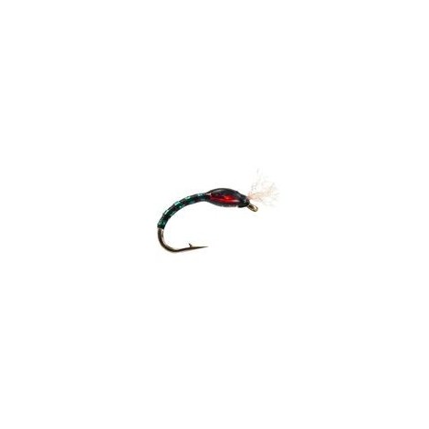 Holo Buzzer Black Green Red