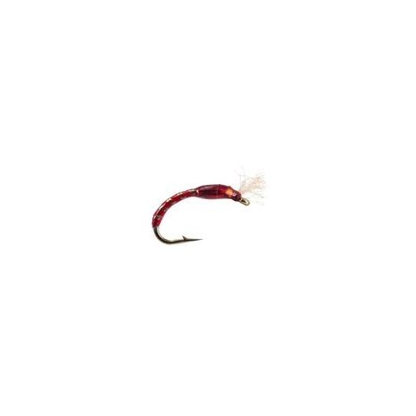 Holo Buzzer Red Gold