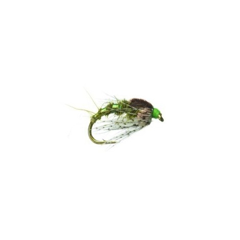 Holy Grail Olive