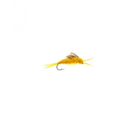 Kaufmans Stonefly Golden