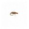 Killer Bug