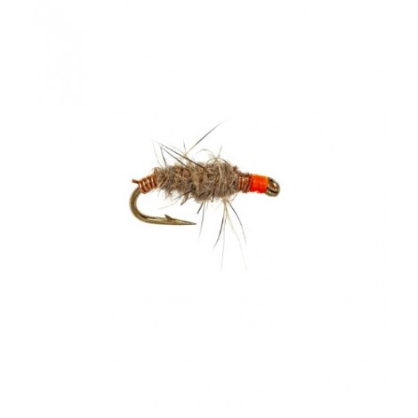Killer Bug