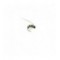 Kylies killer caddis