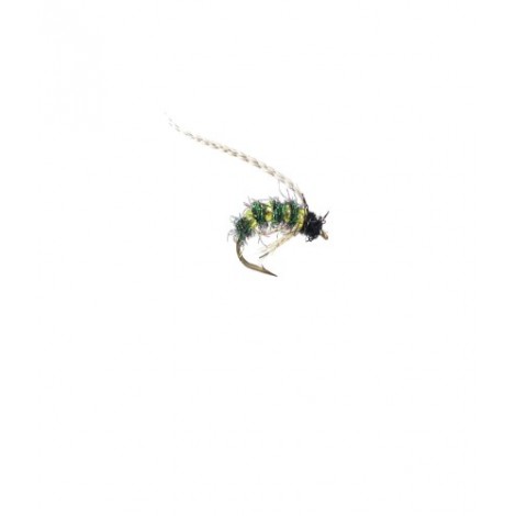 Kylies killer caddis