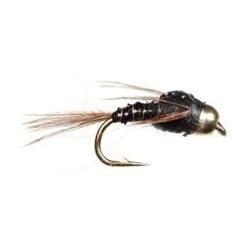 Lightning Bug Black