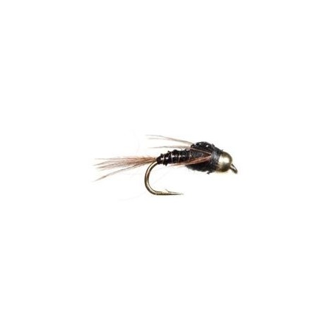 Lightning Bug Black