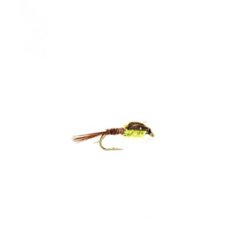 Lime pheasant tail Fritz Nymph