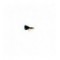 Marabou Diawl Bach