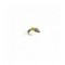Midge Pupae Black