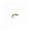 Midge pupae Olive