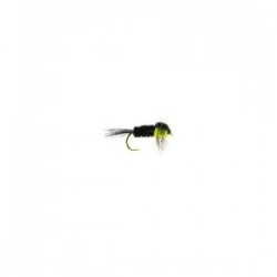 Montana green fluorescent