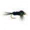 Montana Green