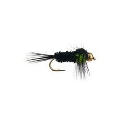 Montana Green
