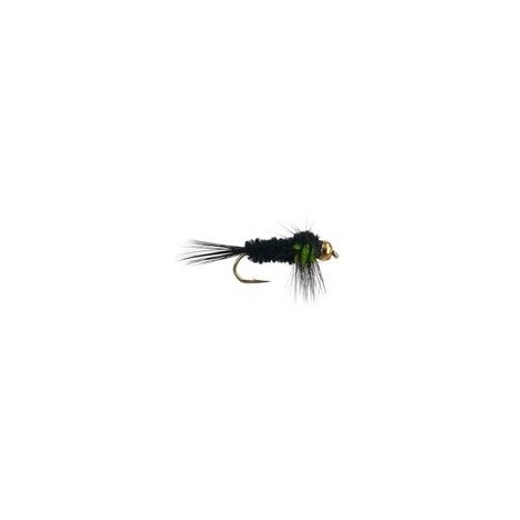 Montana Green