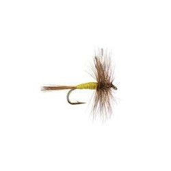 Adams Yellow