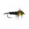 Montana Nymph