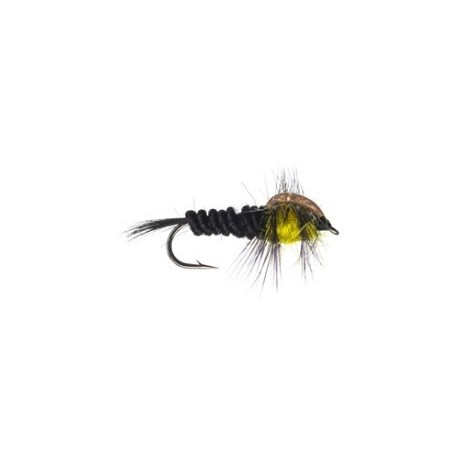 Montana Nymph