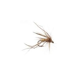 Daddy Long Legs