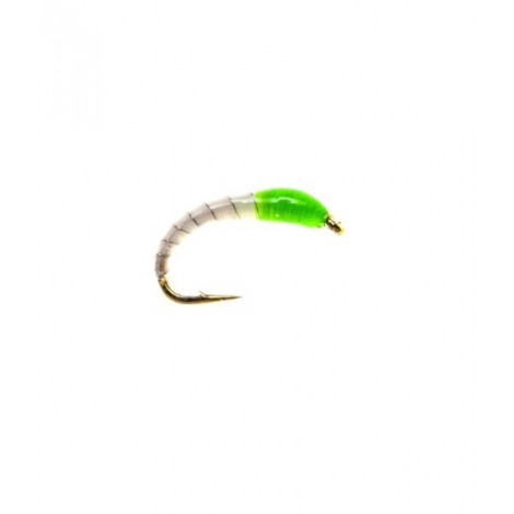 Okey Dokey Lime