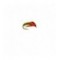 Olive Sedge Pupa