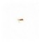 Pheasant Tail Orange Thorax