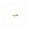 Pond olive