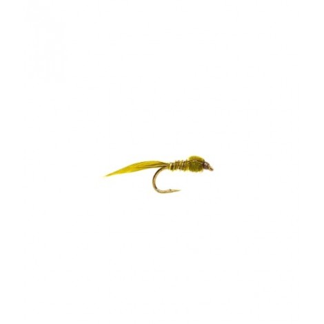 Pond olive