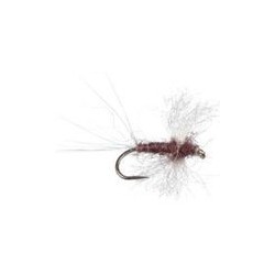 Dark Brown Spinner