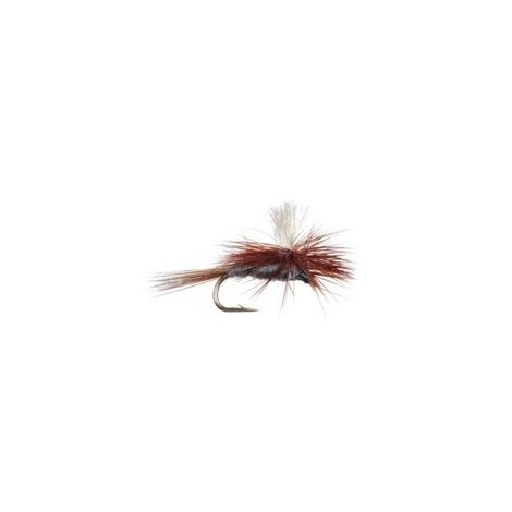 Dark Cahill Parachute