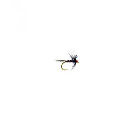 RS Nemo Black