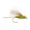 RS2 Olive
