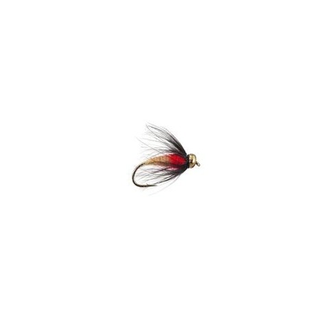 Sedge Pupa