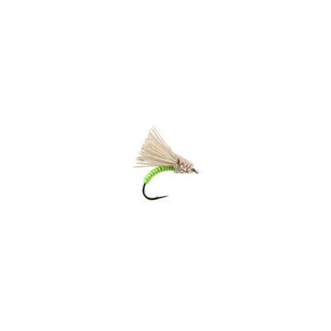Serendipity Green