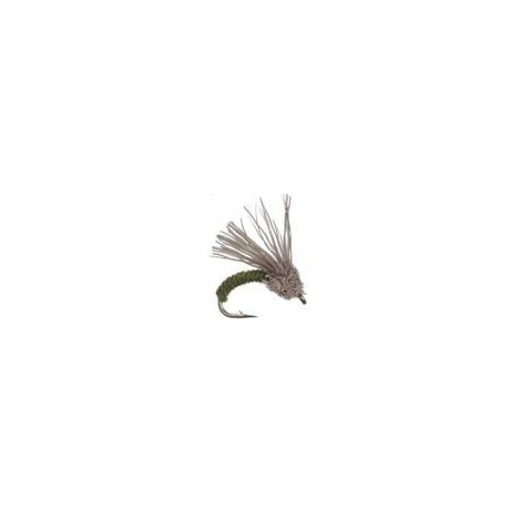 Serendipity Olive