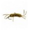 Sili Legs Stone Brown Olive