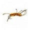 Sili Legs Stone Brown Yellow
