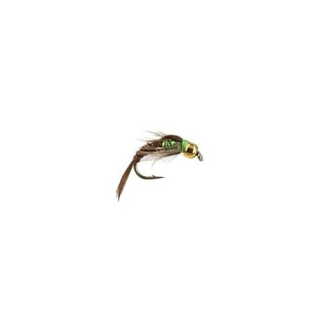 TB Pheasant Verdina