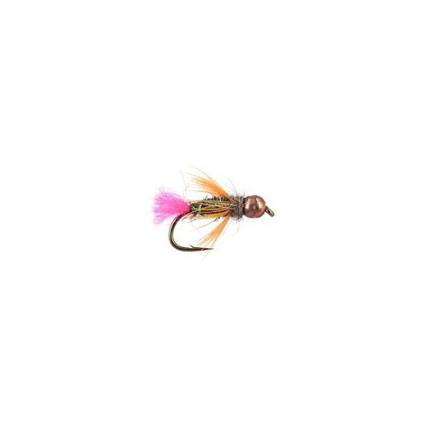 TB Trout Scare